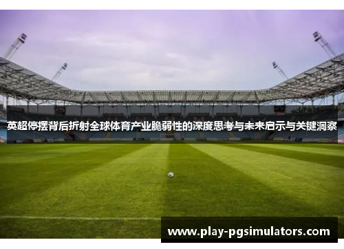 英超停摆背后折射全球体育产业脆弱性的深度思考与未来启示与关键洞察